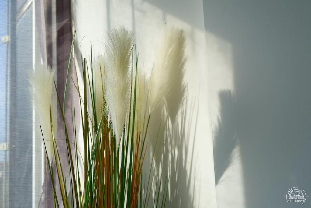 Suite Le Cocoon & Spa By Nancyintimelounge Extérieur photo